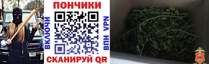 Каннабис конопля сколько стоит Качканар
